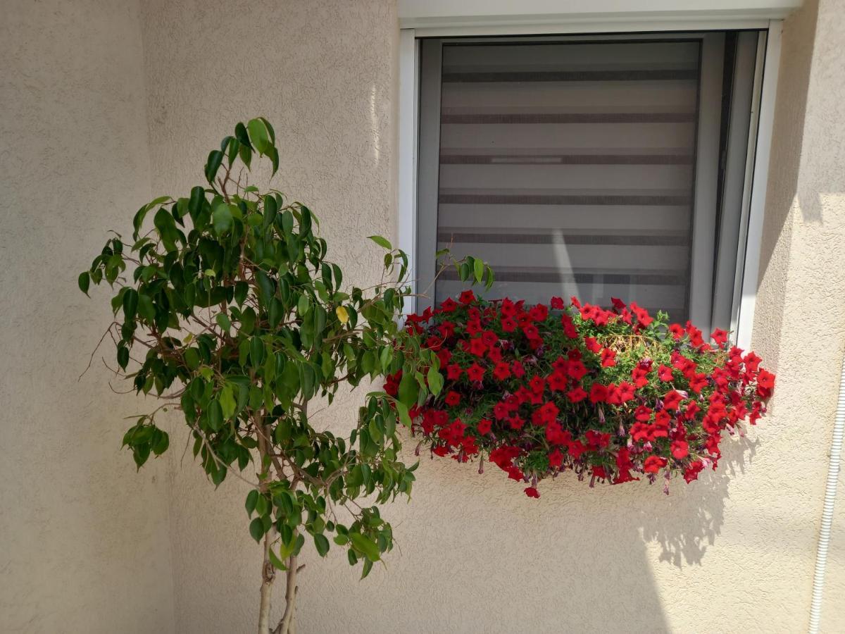 Leda Apartmani Smederevo Ngoại thất bức ảnh