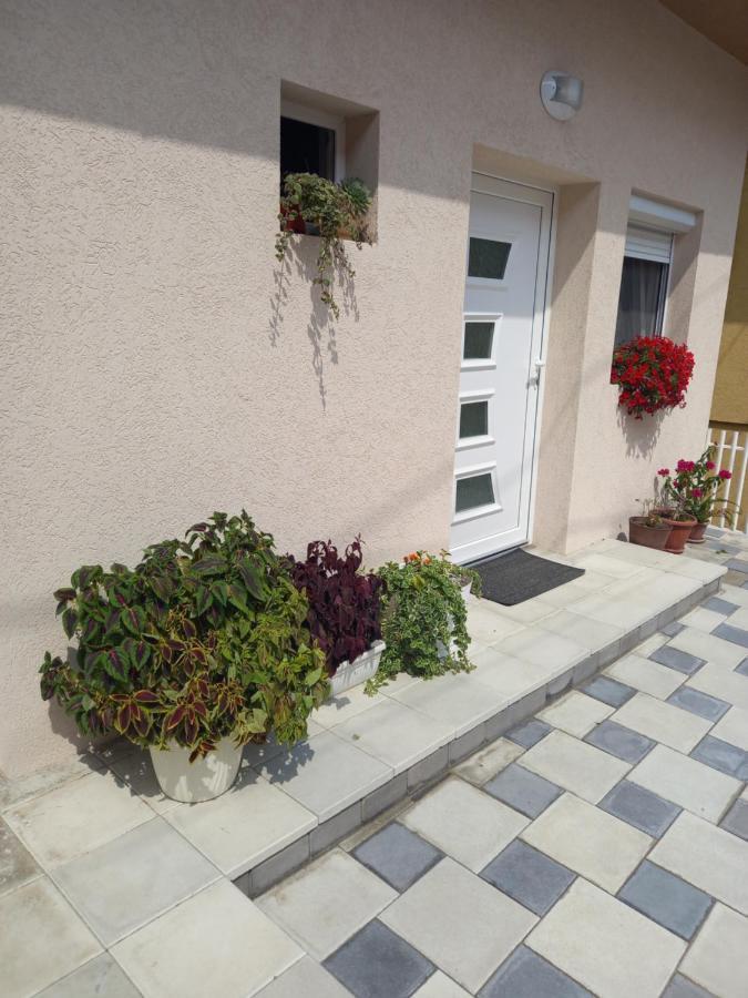 Leda Apartmani Smederevo Ngoại thất bức ảnh