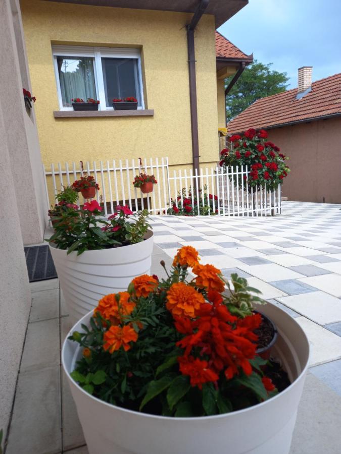 Leda Apartmani Smederevo Ngoại thất bức ảnh