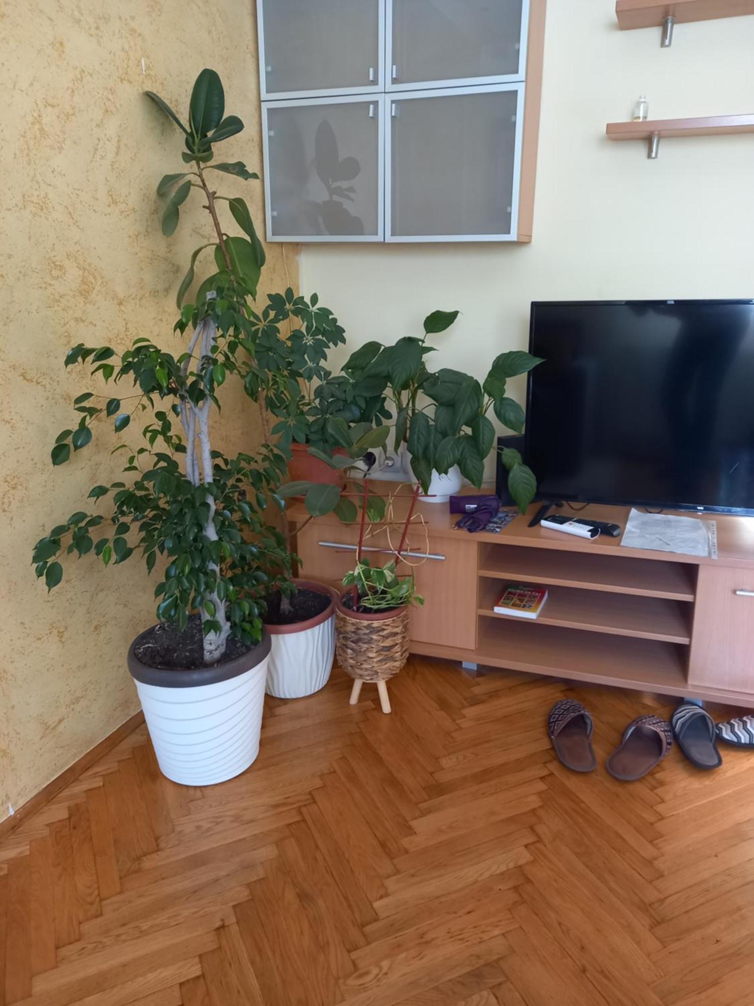 Leda Apartmani Smederevo Phòng bức ảnh